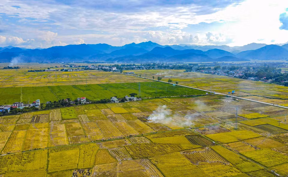 从高空俯瞰芒清稻田。图自越通社