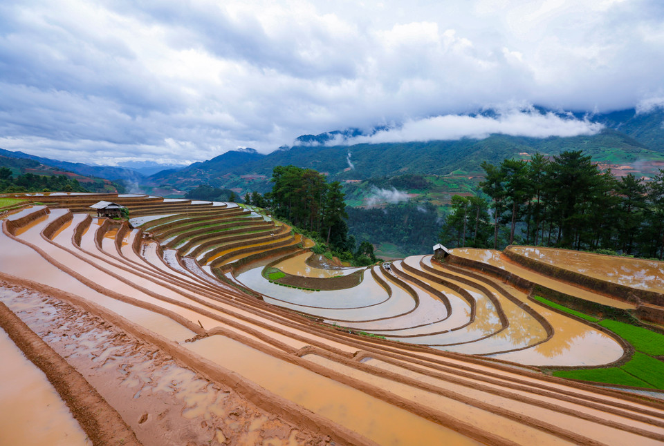 进入注水季节的一片片梯田美如画。图自 越通社