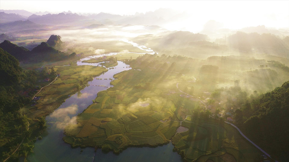 已经收割的田地与金黄色的成熟稻田交错排列。图自越通社/越南画报