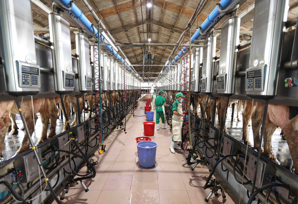 平定省力争2021-2030年阶段，地区生产总值（GRDP）的年均增长率达8.5%以上。图自越通社