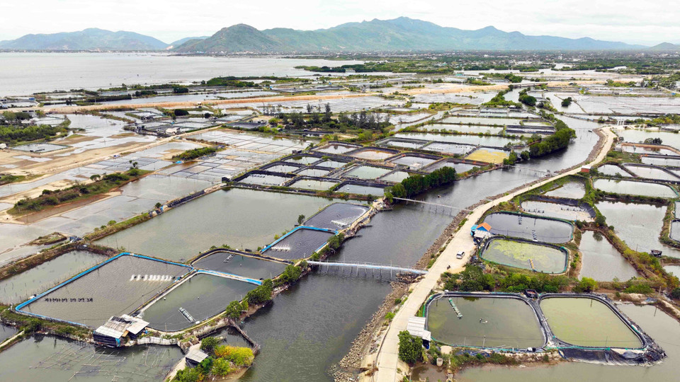 平定省力争到2030年实现水产养殖面积达4300公顷，养殖年产量达2.4万吨。图自越通社