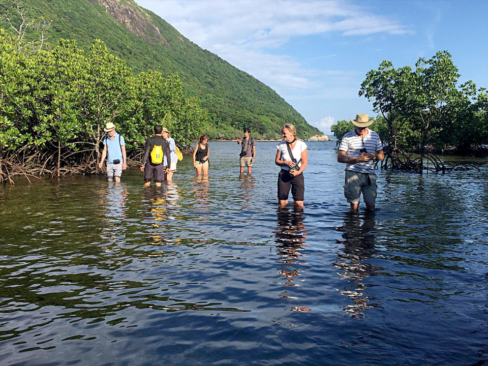 国际游客前来昆岛国家公园参观。资料图：昆岛国家公园