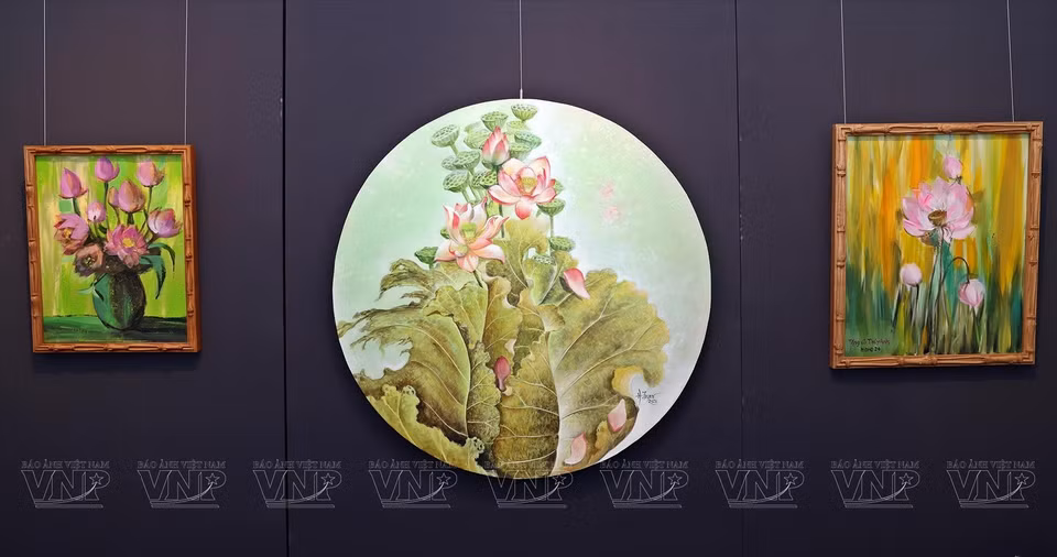 收藏家翠英的荷花画作收藏中的范安海画家作品《荷花季节》、海坚画家的作品《西湖荷花》和陶莲香画家作品的《粉红荷花》。图自越通社/越南画报
