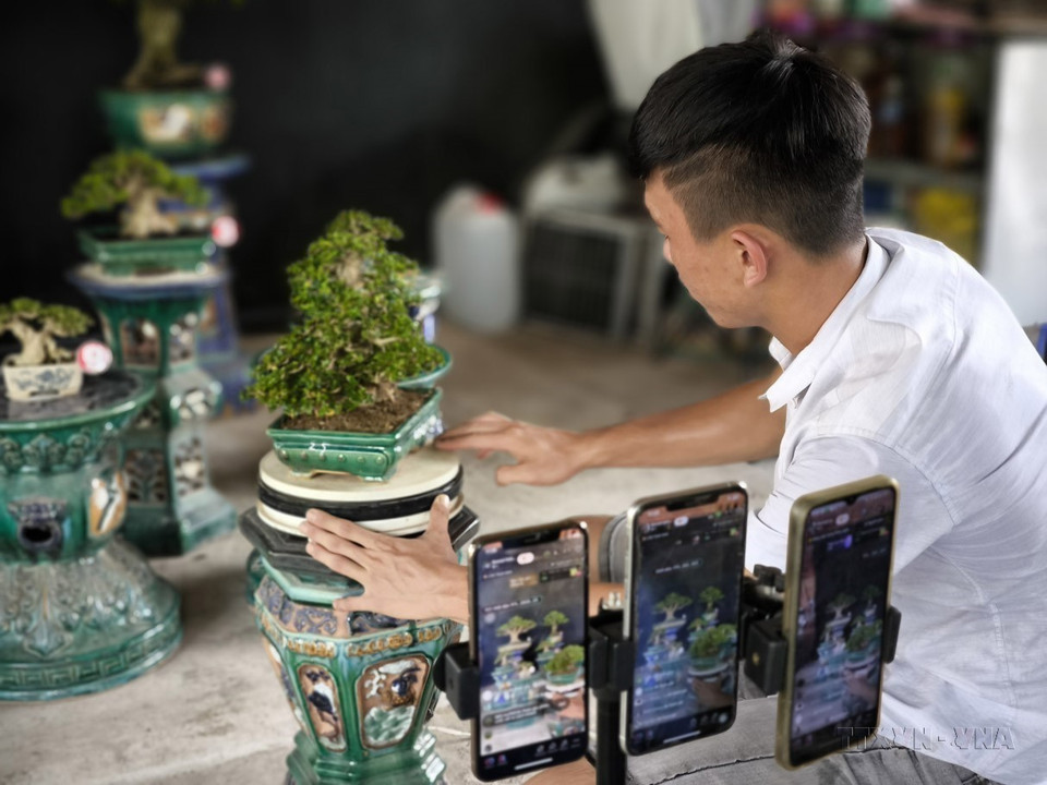 除了通过商贩渠道销售传统的农产品，或与企业建立销售联系外，最近槟椥省农民已应用电子商务来加强市场对接，并取得了良好效果，为当地农民带来更高收入。图自越通社