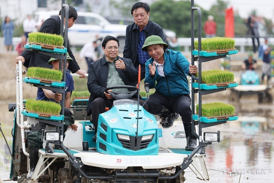 越南政府总理范明政同海阳省宁江县农民使用机械设备插秧东春季作物。图自越通社