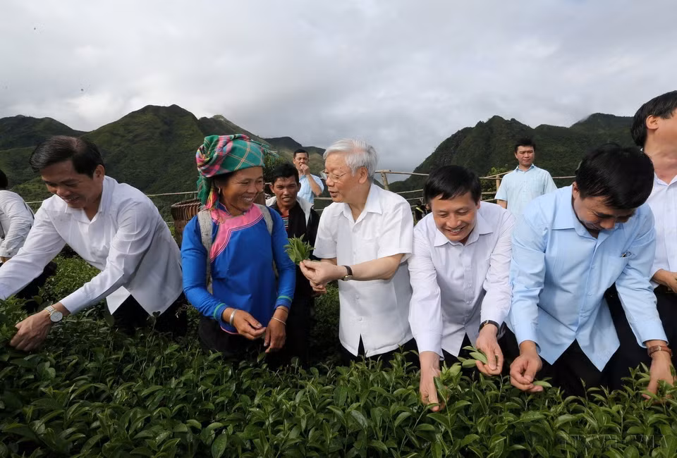越共中央总书记阮富仲参观莱州省三堂县谷发村按照VIETGAP标准的茶叶生产模式（2016年）。图自越通社