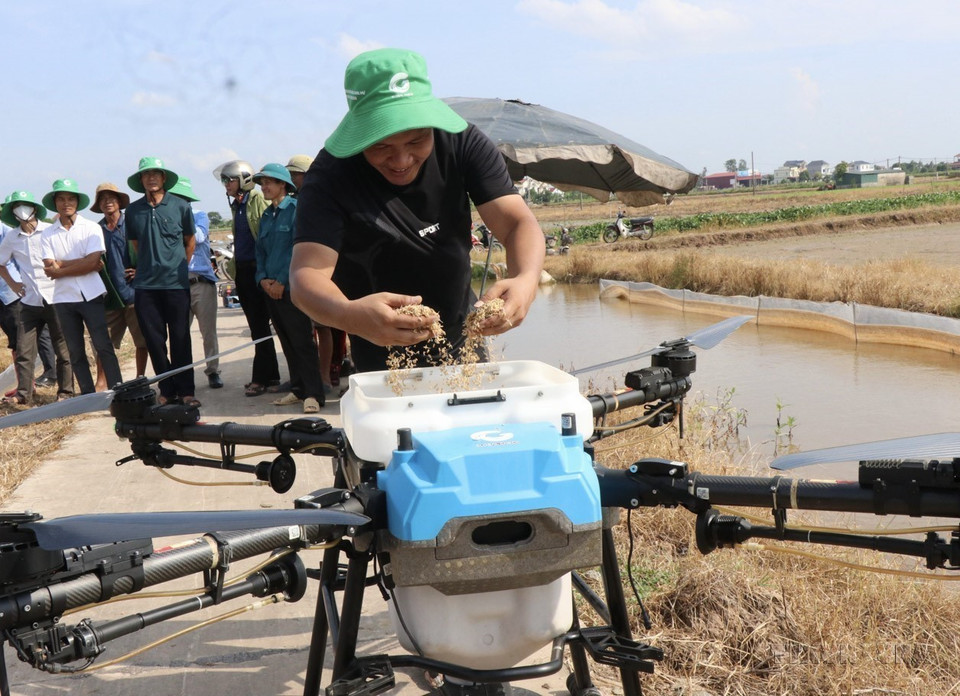 北宁省农民使用无人机播种水稻种子。图自越通社