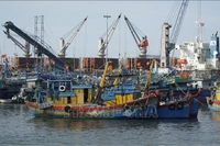 附图。图自越通社