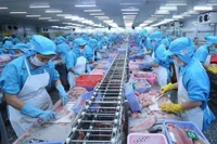 越南对CPTPP成员国出口查鱼总额达3.05亿美元，同比增长36%。图自越通社