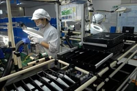 附图。图自越通社