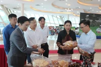 代表们了解奠边省的旅游信息和产品。图自baomoi.vn