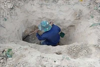 K53工作队组织开挖并发掘出两具烈士遗骸。图自越通社