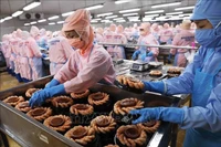 农林水产品出口额预计达700亿美元，远超650亿美元目标。图自越通社