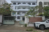 附图。图自越通社