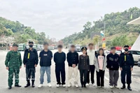 外籍涉案人员已依照法律规定被驱逐出越南领土。图自越通社