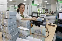 附图。图自越通社