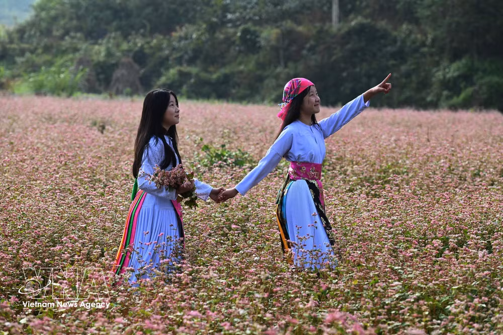 vnanet-potal-le-hoi-mien-da-no-hoa-tren-cao-nguyen-da-dong-van-tuyen-quang-8439060-2.jpg