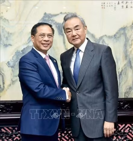 pho-thu-tuong-bo-truong-bo-ngoai-giao-bui-thanh-son-va-uy-vien-bo-chinh-tri-bo-truong-ngoai-giao-trung-quoc-vuong-nghi-ttxvn.jpg