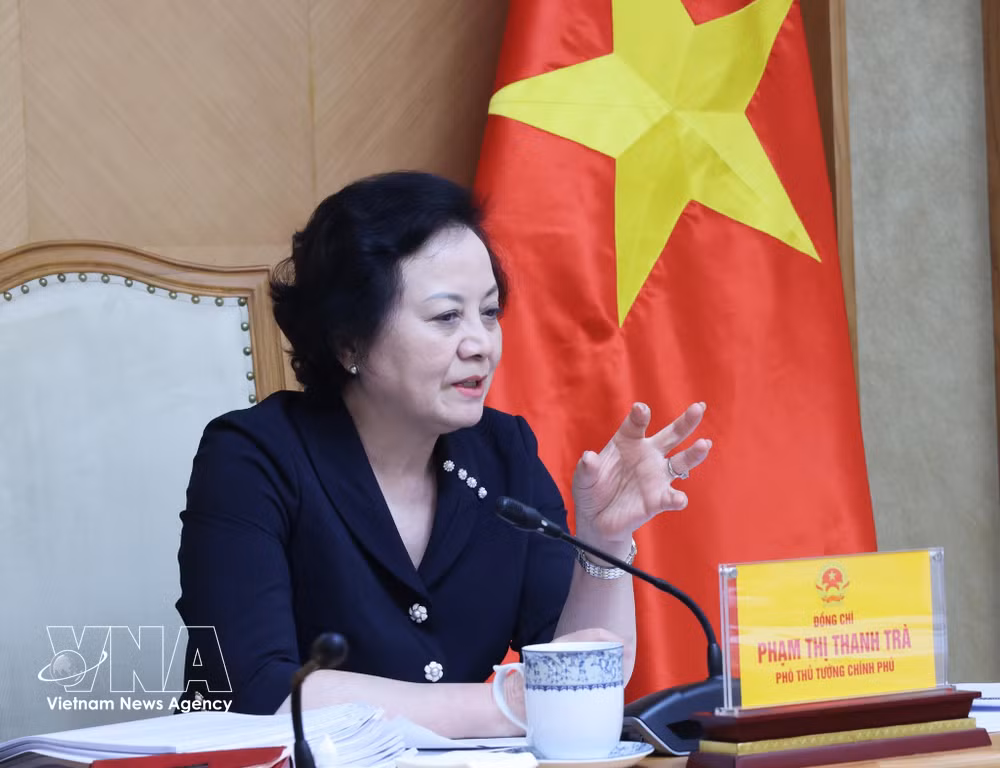 vnanet-potal-pho-thu-tuong-pham-thi-thanh-tra-lam-viec-ve-de-an-thu-hut-trong-dung-nhan-tai-8886454-1.jpg