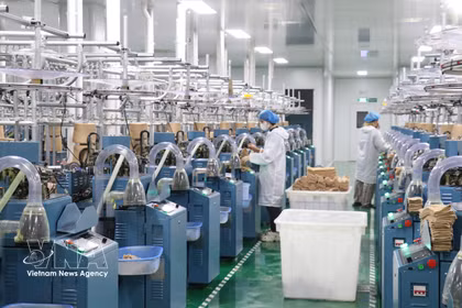 前7个月越南经济保持增长势头迈向两位数目标。图自越通社
