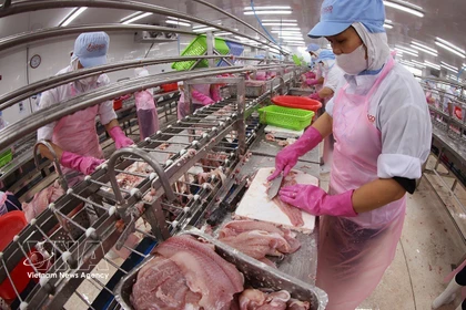 2026年一季度越南农林水产品出口增长近6%。图自越通社