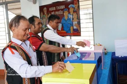 越南全国近7900万选民行使选举权利和义务。图自越通社