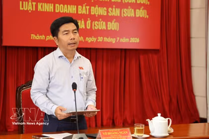 胡志明市国会代表团副团长武煌银发表讲话。图自越通社