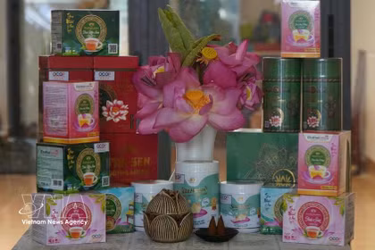 获得OCOP认证的各类莲花产品。图自越通社
