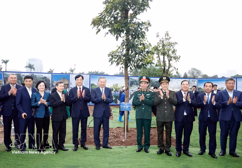 越共中央总书记苏林出席“世世代代铭记胡志明主席功勋”植树节启动仪式。图自越通社
