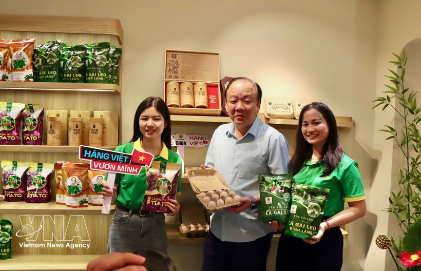 在促销会上展出的海南茄茶、海南茄鸡蛋产品。图自越通社