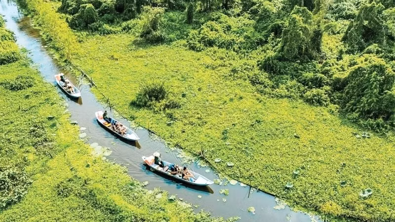 游客游览安江省茶师白千层森林。图自TRA SU TOURIST AREA