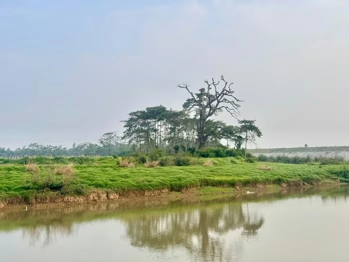 多福乡的美丽景观，可作为举办露营、户外艺术表演等多种体验式旅游活动的场所。 照片来源：baomoi.com