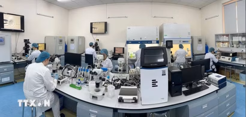 胡志明市国家大学所属国际大学生物技术实验室。图自越通社
