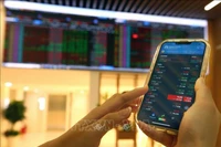 附图 图自越通社