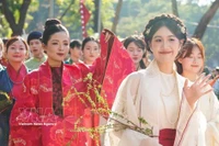 “百花步行”越南服饰文化节2025年11月15日在河内举行。图自越通社