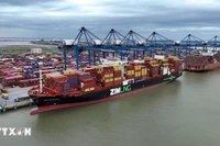 在越南港口停泊的集装箱船。图自越通社