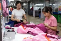 太原省TNG服装公司员工正在缝制出口欧盟的服装。图自越通社