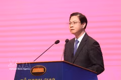 越南外交部副部长吴黎文 图自越通社