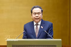 越南国会主席陈青敏发表讲话 图自越通社