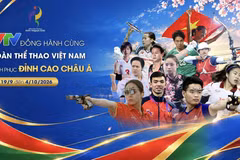 附图 图自VTV