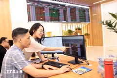 客户在保越证券股份公司（Bảo Việt Securities）位于河内总部的交易大厅进行交易。图自越通社