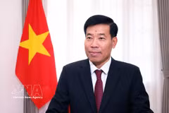 越共中央委员、外交部常务副部长阮孟强 图自越通社