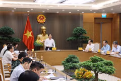 越南政府副总理黎进珠在会议上发表讲话 图自越通社