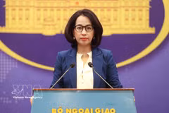 越南外交部发言人范秋姮 图自越通社