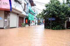 奇穹河水位持续上涨，越南谅山省多地沿江及低洼区域出现严重积水。图自越通社 