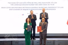 越共中央总书记、国家主席苏林见证合作协议签署。图自越通社