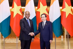 国会主席陈青敏与科特迪瓦国民议会议长帕特里克·阿奇合影。图自越通社
