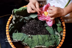 莲花茶匠人细致剥取西湖莲子米，以传统方法窨制莲花茶 图自越通社
