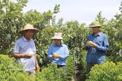 富寿省农业与环境厅副厅长裴辉灵在论坛上发表讲话。图自越通社