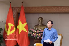 越南政府副总理胡国勇发表讲话 图自越通社